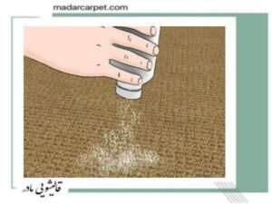 شستشوی فرش با الیاف کنف