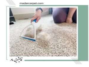 روش جمع کردن مو از فرش و موکت