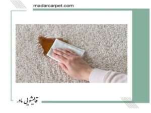نکات مهم برای شستشو فرش از چربی